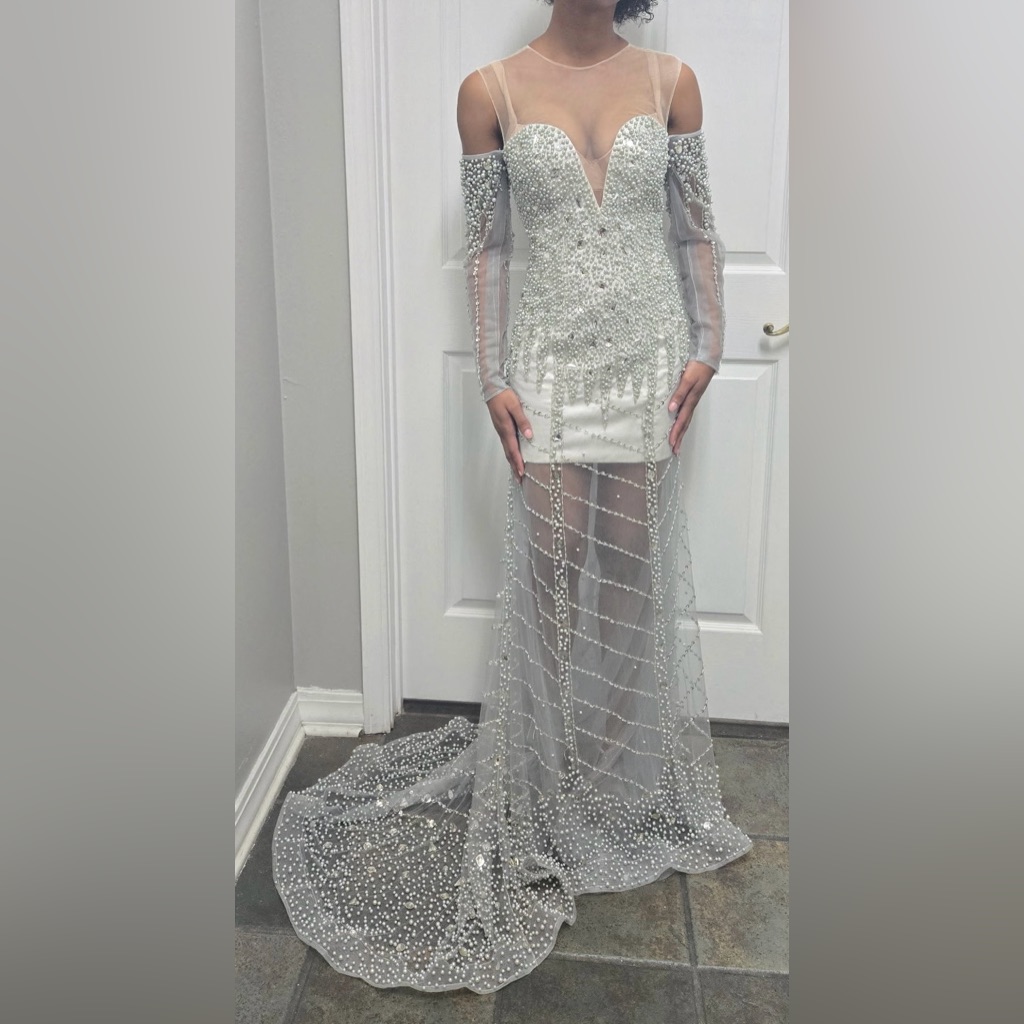 Hzwl Sheer Pearl And Rhinestone Embellished Long Sleeve Dress Hand Made
